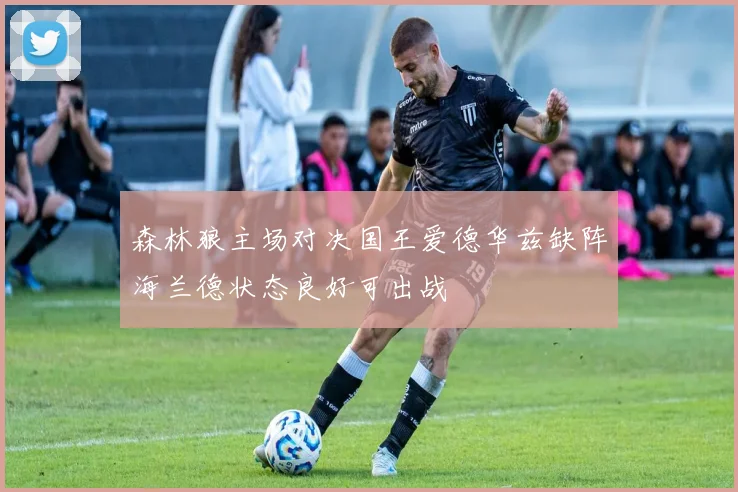 森林狼主场对决国王爱德华兹缺阵海兰德状态良好可出战