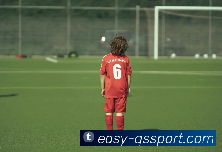 球速体育平台生态图