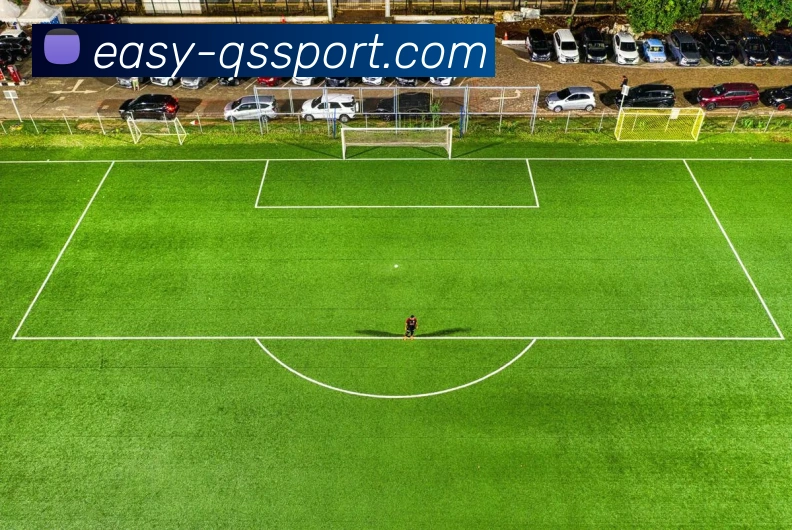 球速体育APP 封面图